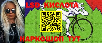 мдпв Бийск