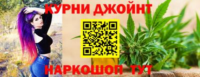 мдпв Бийск