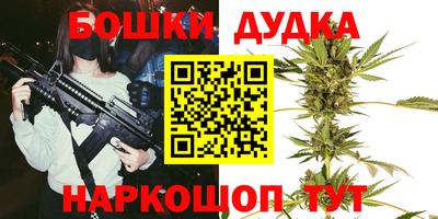 мдпв Бийск