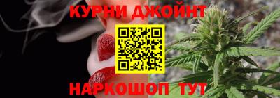 мдпв Бийск