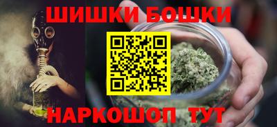 мдпв Бийск