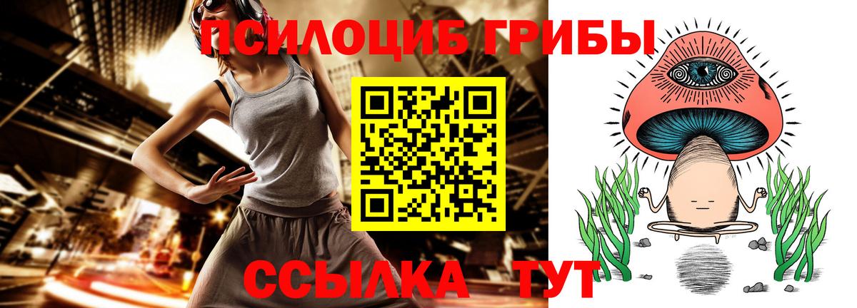 Галлюциногенные грибы Cubensis Батайск